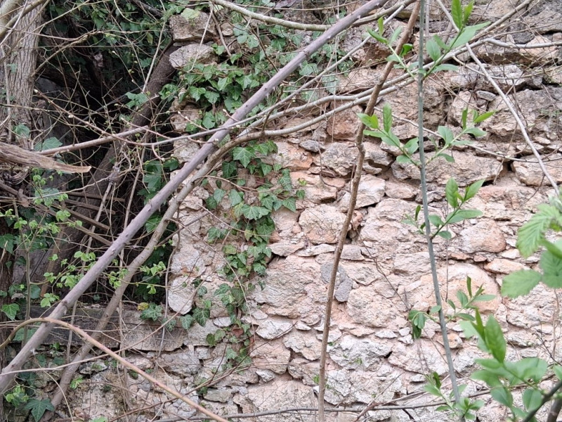 Perchè consigliamo l'acquisto di questo terreno? Per almeno questi cinque motivi: 
1. Spazio e pr...