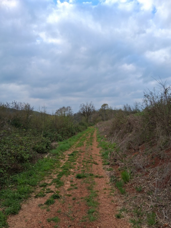 Perchè consigliamo l'acquisto di questo terreno? Per almeno questi cinque motivi: 
1. Spazio e pr...