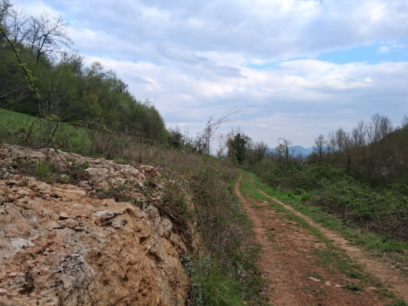 Perchè consigliamo l'acquisto di questo terreno? Per almeno questi cinque motivi: 
1. Spazio e pr...
