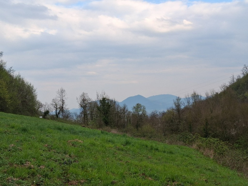 Perchè consigliamo l'acquisto di questo terreno? Per almeno questi cinque motivi: 
1. Spazio e pr...