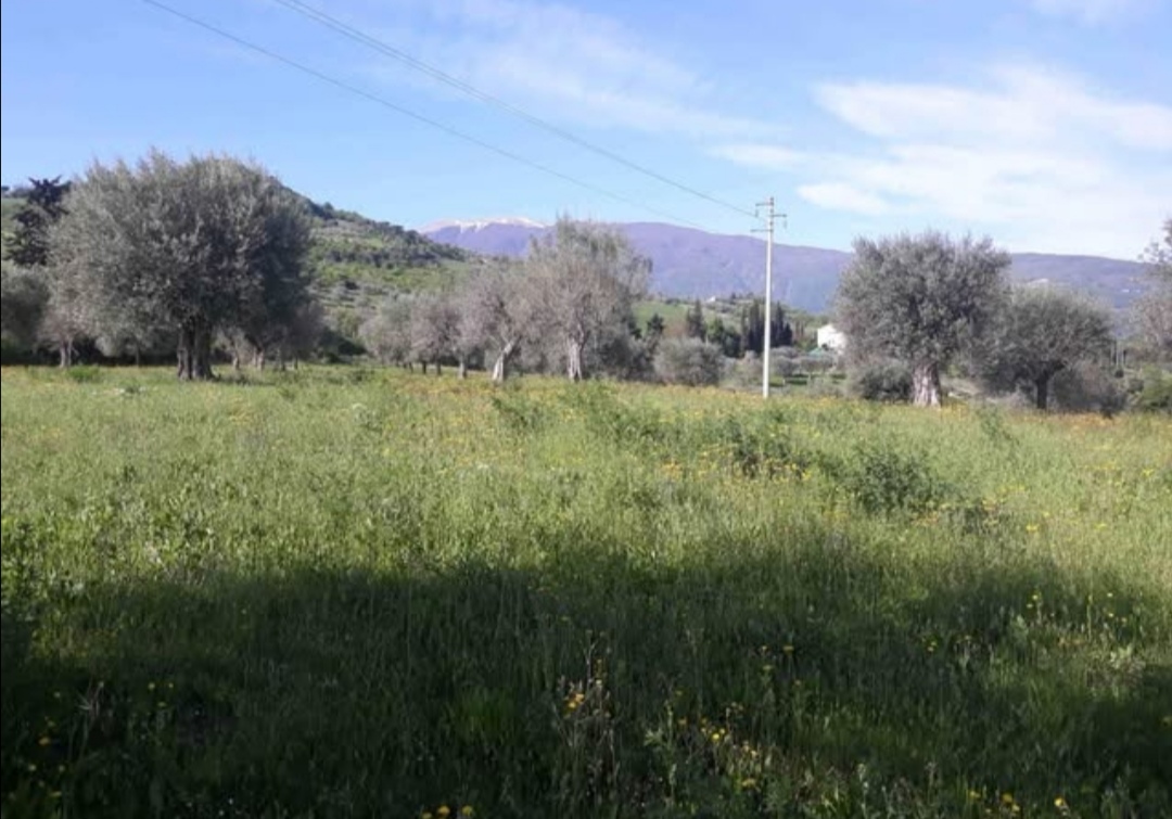 immagine annuncio 1 di 8