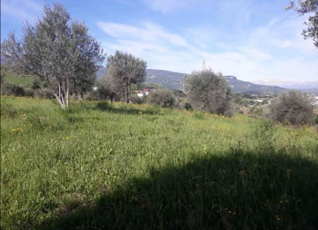 immagine annuncio 4 di 8