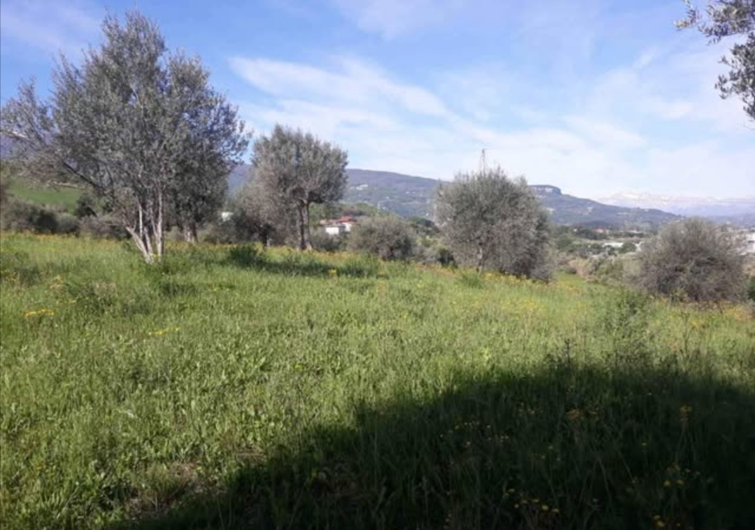 immagine annuncio 6 di 8