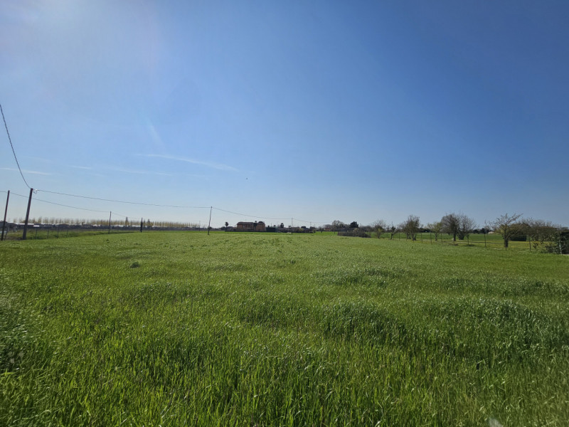 Proponiamo in vendita a Monselice, località Schiavonia, spaziosa casa singola con terreno agricol...