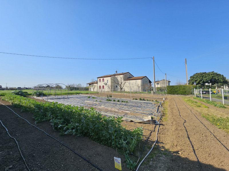 Proponiamo in vendita a Monselice, località Schiavonia, spaziosa casa singola con terreno agricol...