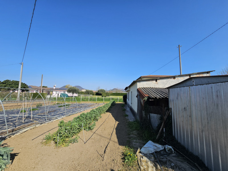 Proponiamo in vendita a Monselice, località Schiavonia, spaziosa casa singola con terreno agricol...