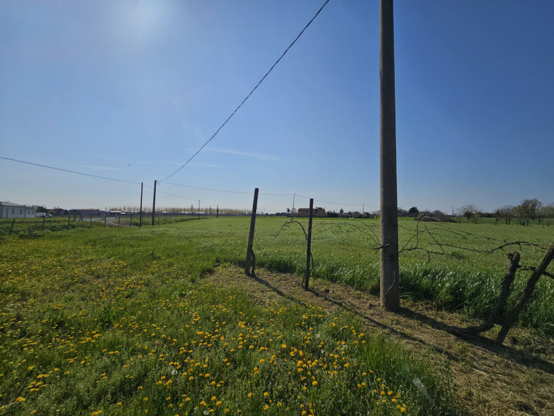 Proponiamo in vendita a Monselice, località Schiavonia, spaziosa casa singola con terreno agricol...