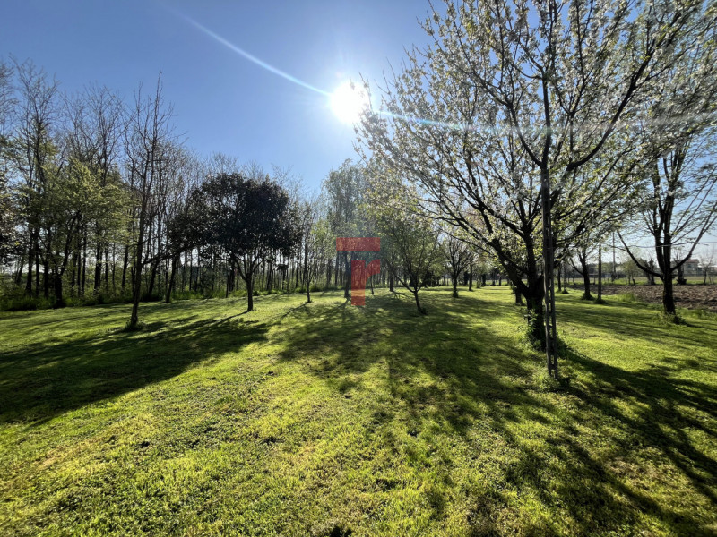 Nel Comune di Limena, in zona verdeggiante a due minuti dal centro paese, proponiamo in vendita u...