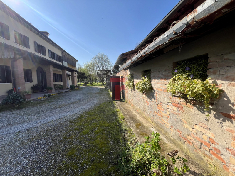 Nel Comune di Limena, in zona verdeggiante a due minuti dal centro paese, proponiamo in vendita u...