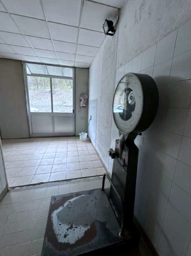 RIF. A.A.99-241

Vendesi all'asta - laboratorio artigianale in data 14 maggio 2026

Descrizione: ...