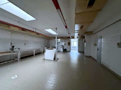 RIF. A.A.99-241

Vendesi all'asta - laboratorio artigianale in data 14 maggio 2026

Descrizione: ...