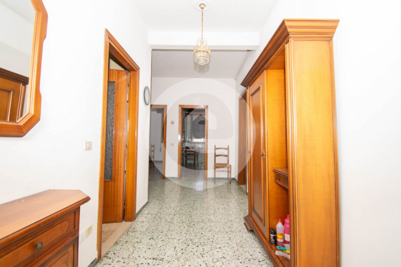 In vendita a San Giorgio delle Pertiche (PD), in una zona tranquilla e immersa nel verde, proponi...