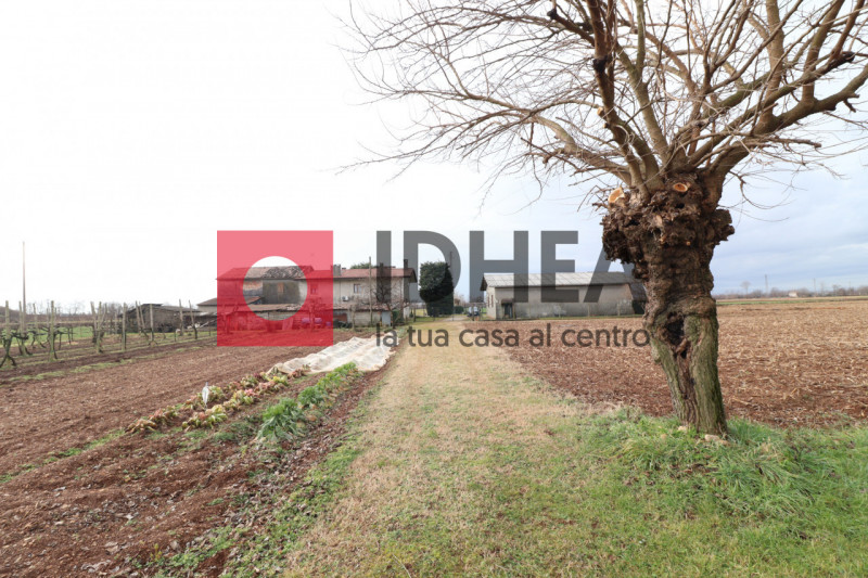 PONZANO VENETO

""" RIFERIMENTO FRP3 """

L'agenzia immobiliare Idhea ha il piacere di proporvi q...