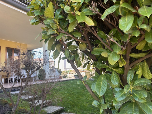 L'agenzia Iris è lieta di presentare una splendida villa bifamiliare situata in uno dei più affas...