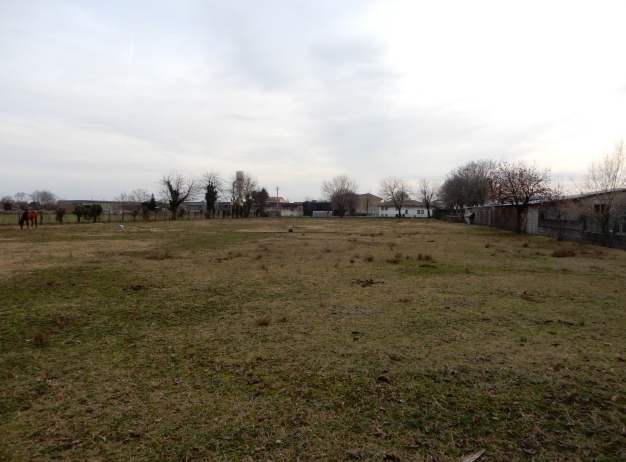 Rif. A.A.31-192

Vendita all'asta - fabbricato adibito a scuderia in data 15 maggio 2026

Descriz...