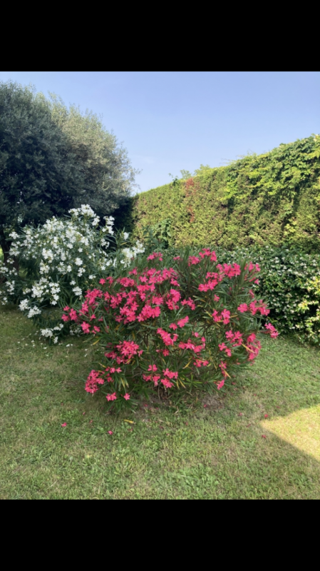 Nel cuore di Ponte di Brenta, in un contesto riservato e tranquillo su strada chiusa, proponiamo ...