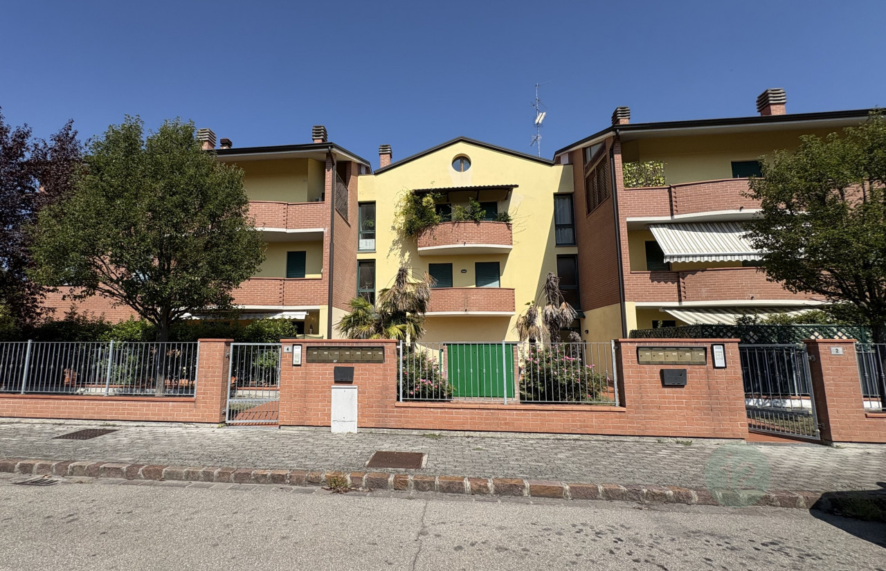 immagine annuncio 10 di 11