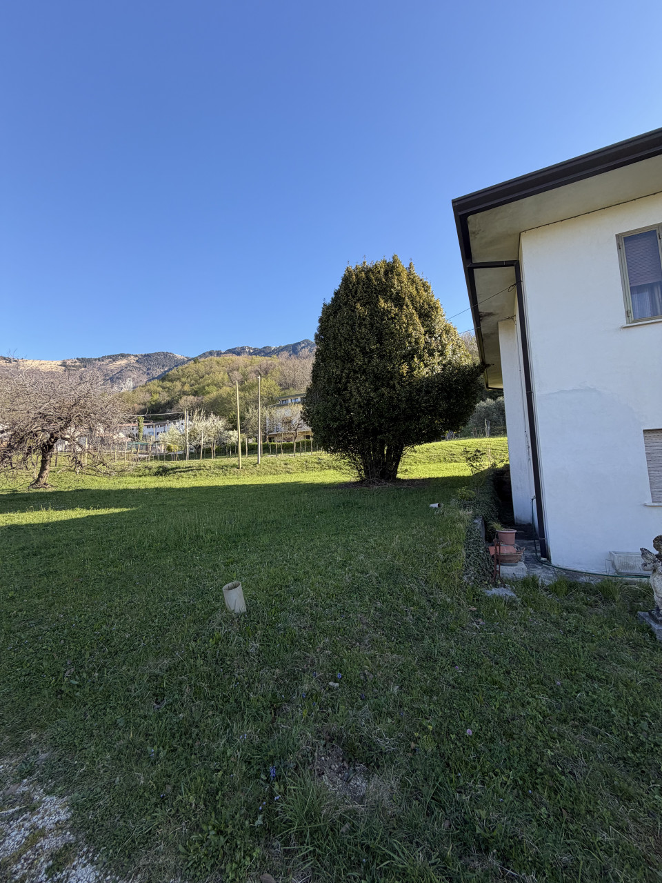 immagine annuncio 3 di 8