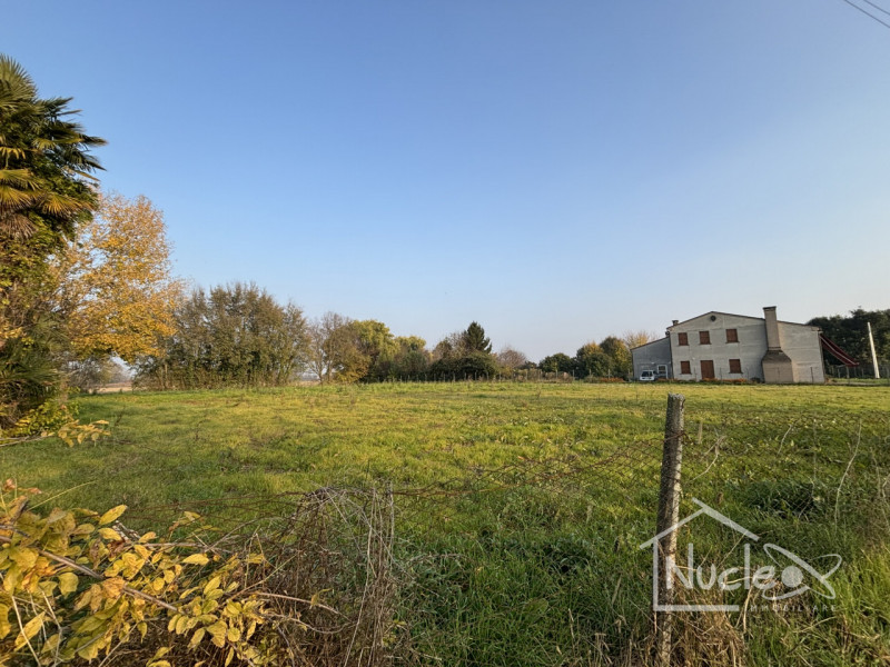 Vendesi Lotto Edificabile a Sant'Elena, via XXIV Maggio

Terreno edificabile di totali 2795 mq ci...