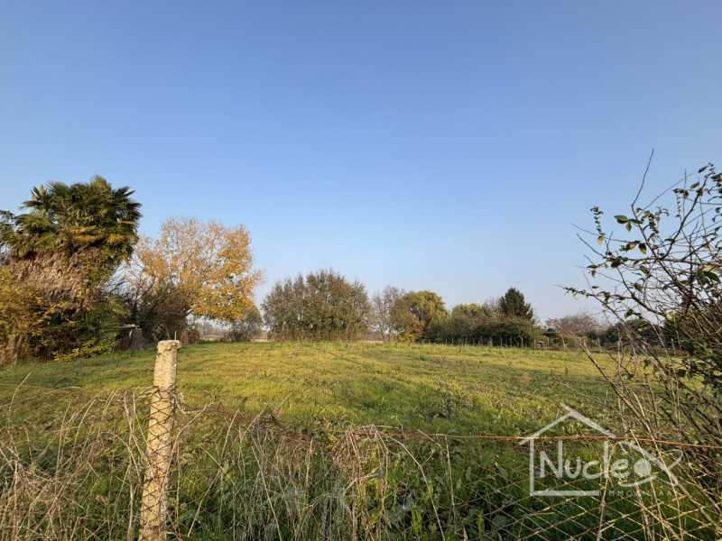 Vendesi Lotto Edificabile a Sant'Elena, via XXIV Maggio

Terreno edificabile di totali 2795 mq ci...