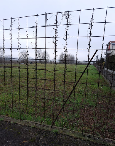 Rif. A.A.399-243

Vendita all'asta - terreno edificabile residenziale in data 19 maggio 2026

Des...