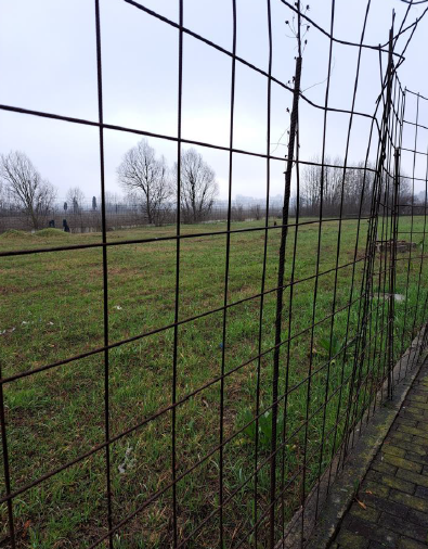 Rif. A.A.399-243

Vendita all'asta - terreno edificabile residenziale in data 19 maggio 2026

Des...