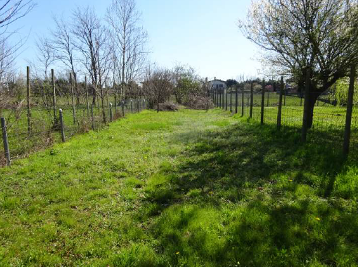 Rif. A.A.07-24

Vendita all'asta - abitazione unifamiliare su 2 livelli in data 19 maggio 2026

D...