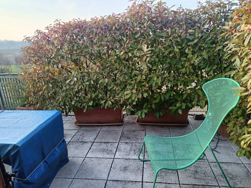 Scopri questo affascinante appartamento duplex situato nel cuore di Vigodarzere, un comune che of...