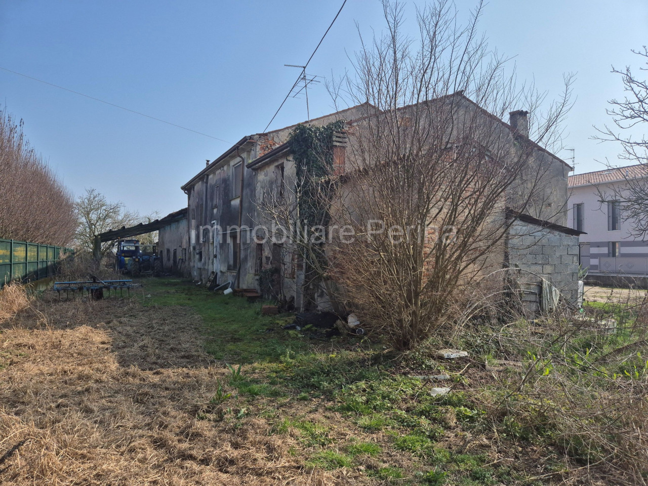 immagine annuncio 5 di 6