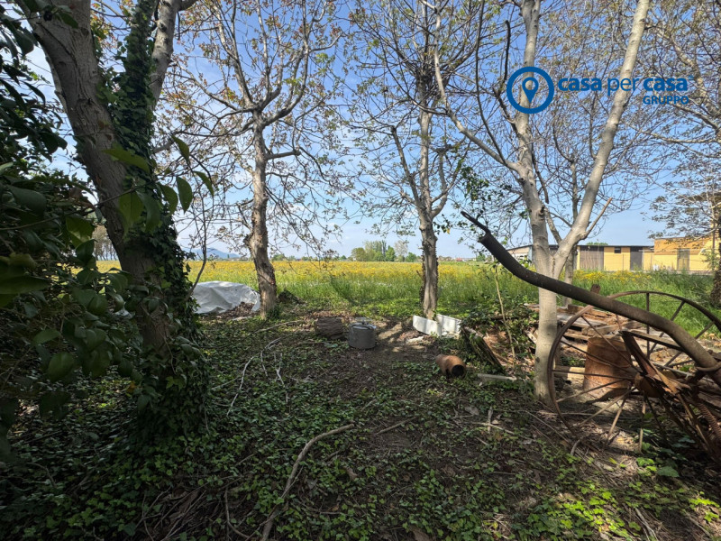 APPROVATO GRUPPO CASA PER CASA: VALUTATO, CONTROLLATO, GESTITO IN ESCLUSIVA!

ZONA:
L'immobile è ...