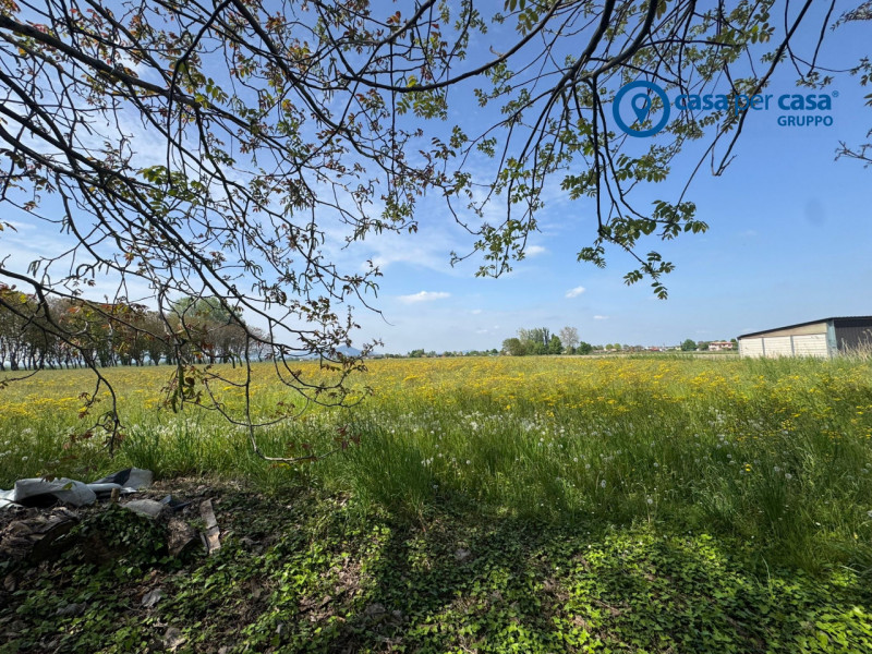 APPROVATO GRUPPO CASA PER CASA: VALUTATO, CONTROLLATO, GESTITO IN ESCLUSIVA!

ZONA:
L'immobile è ...