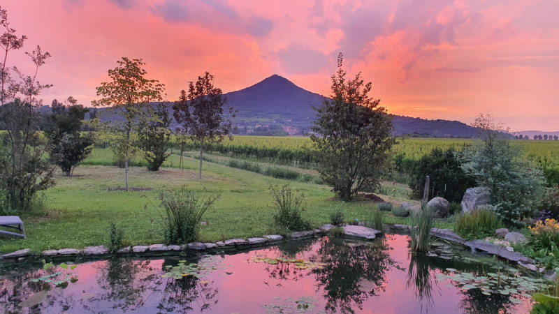 COMPOSIZIONE:
Proponiamo in vendita bellissimo rustico, completamente ristrutturato, armoniosamen...