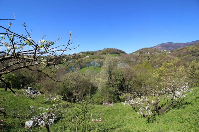 Salcedo

Stai cercando una casa singola in una cornice da favola con vista panoramica?

Prezzo € ...