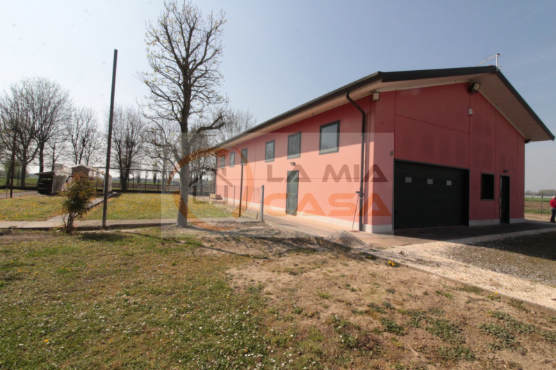 RIO di PONTE SAN NICOLO' - capannone agricolo di grandi metrature, con terreno adiacente per di c...