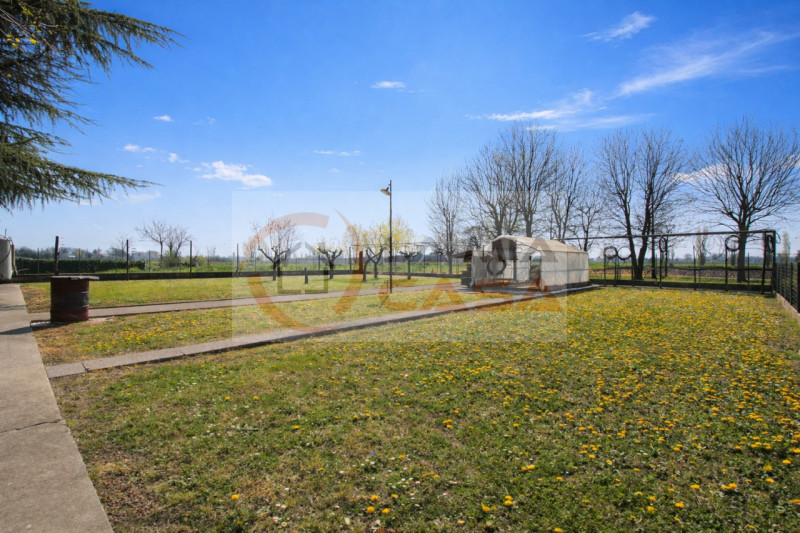 RIO di PONTE SAN NICOLO' - capannone agricolo di grandi metrature, con terreno adiacente per di c...