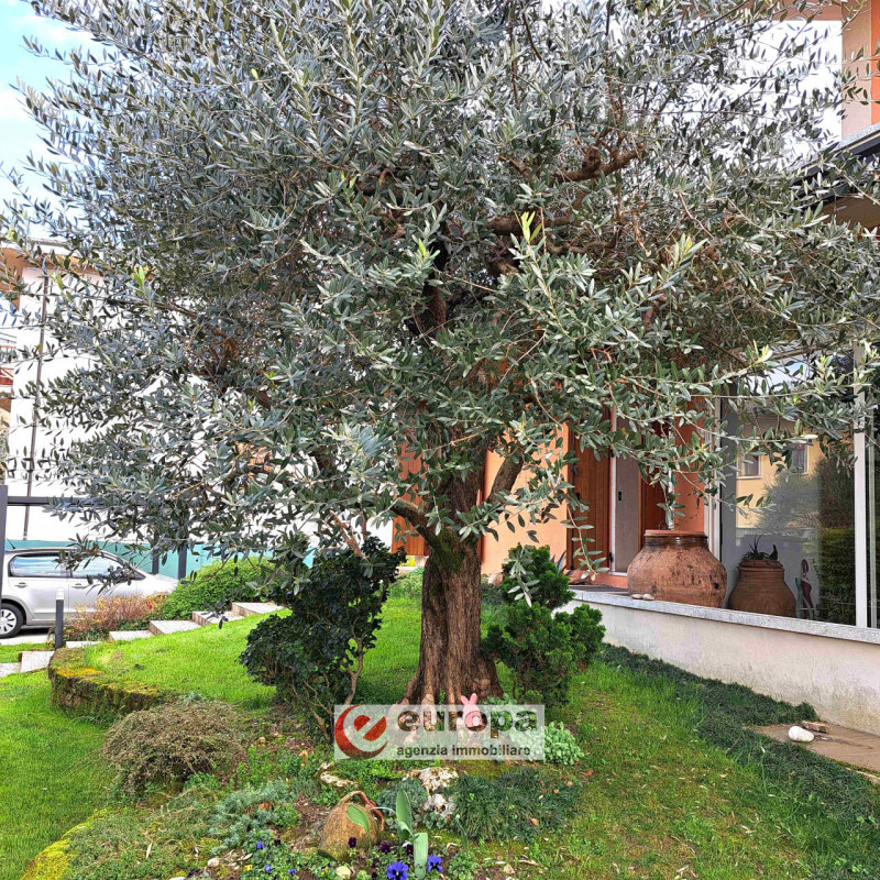 A pochi Km. dalla città, in direzione Nord e precisamente a CAVAZZALE, zona interna a viale Europ...