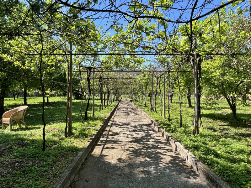 MERAVIGLIOSA VILLA LIBERTY DEL 1914 CON STUPENDO PARCO SECOLARE A VICENZA - Rif. 8376 - Euro 1.49...