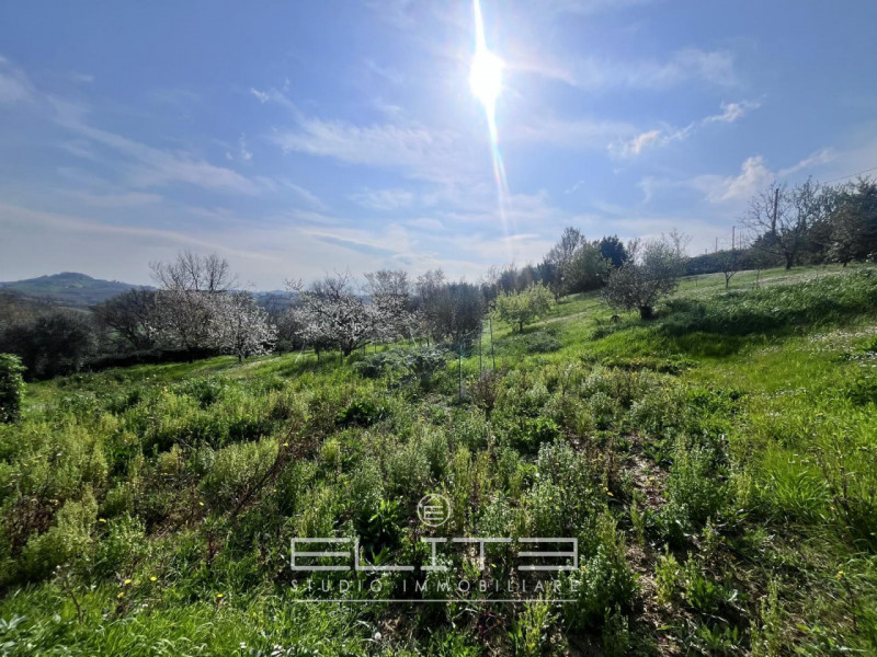 immagine annuncio 4 di 11