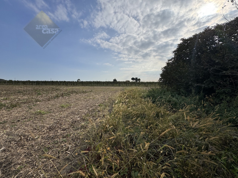 Proponiamo in vendita una rara opportunità per chi desidera investire nell’autenticità della camp...