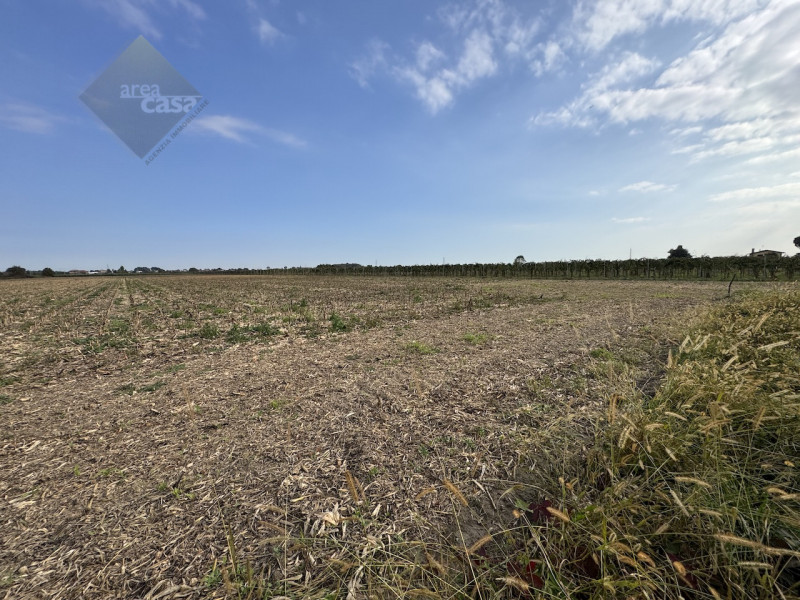 Proponiamo in vendita una rara opportunità per chi desidera investire nell’autenticità della camp...