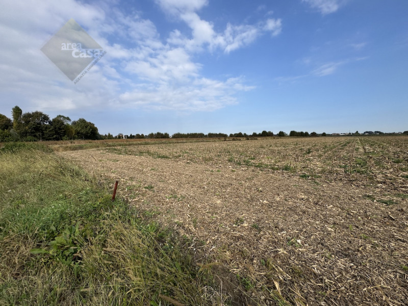 Proponiamo in vendita una rara opportunità per chi desidera investire nell’autenticità della camp...