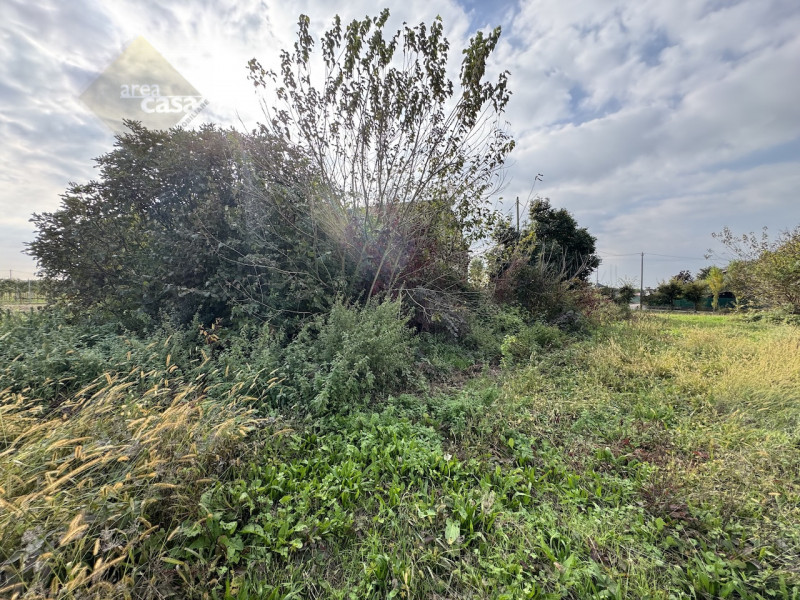 Proponiamo in vendita una rara opportunità per chi desidera investire nell’autenticità della camp...