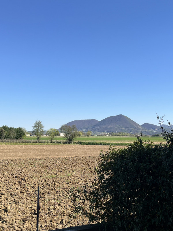 BICAMERE PIANO TERRA CON SCOPERTO ESCLUSIVO E AUTORIMESSA DOPPIA IN VENDITA A PONTE DI BARBARANO ...