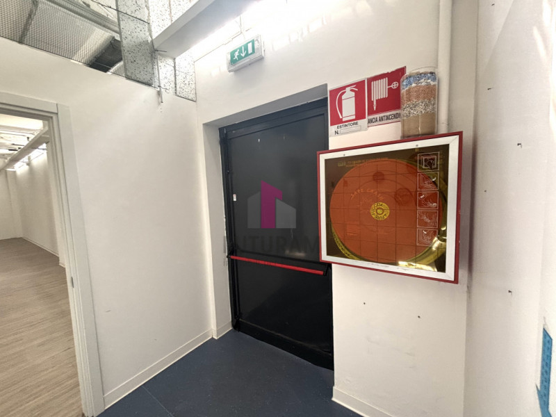 rif.701MIC - Per info 3473209826 - Proponiamo in locazione a Limena, in posizione strategica a po...