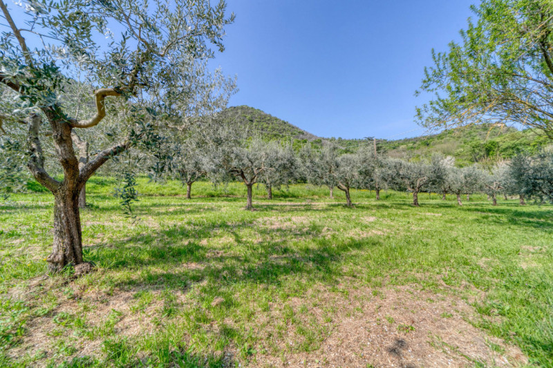 MONSELICE Zona Solana, ai piedi del colle Montericco in posizione tranquilla, proponiamo un'abita...