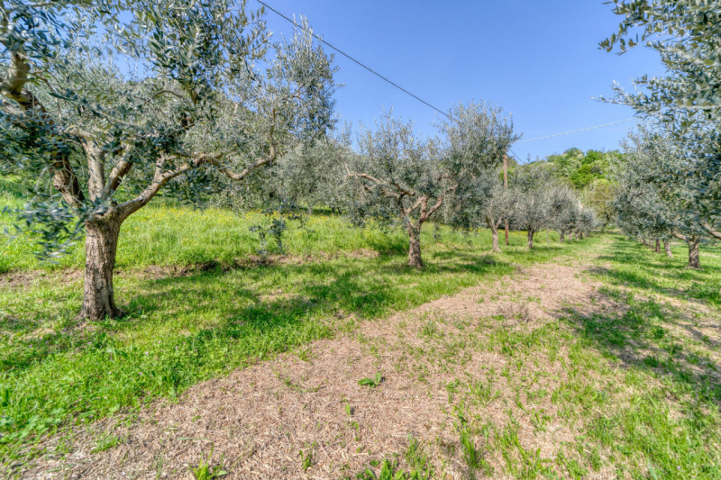 MONSELICE Zona Solana, ai piedi del colle Montericco in posizione tranquilla, proponiamo un'abita...
