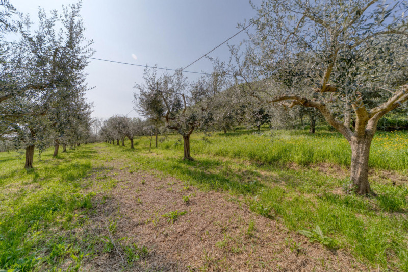 MONSELICE Zona Solana, ai piedi del colle Montericco in posizione tranquilla, proponiamo un'abita...