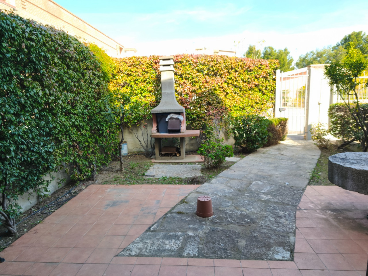 immagine annuncio 3 di 6