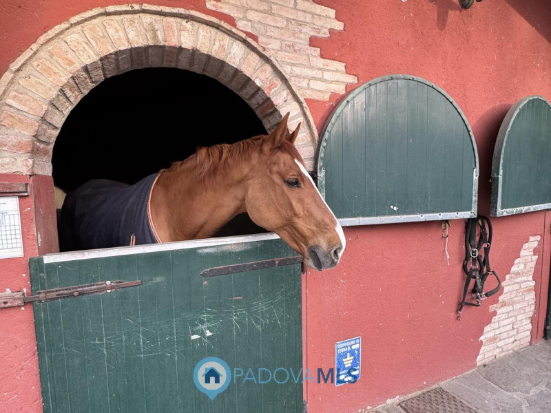 Signorile porzione di villa arredata

Immobile in esclusiva al Gruppo Padova MLS

Se amate la tra...