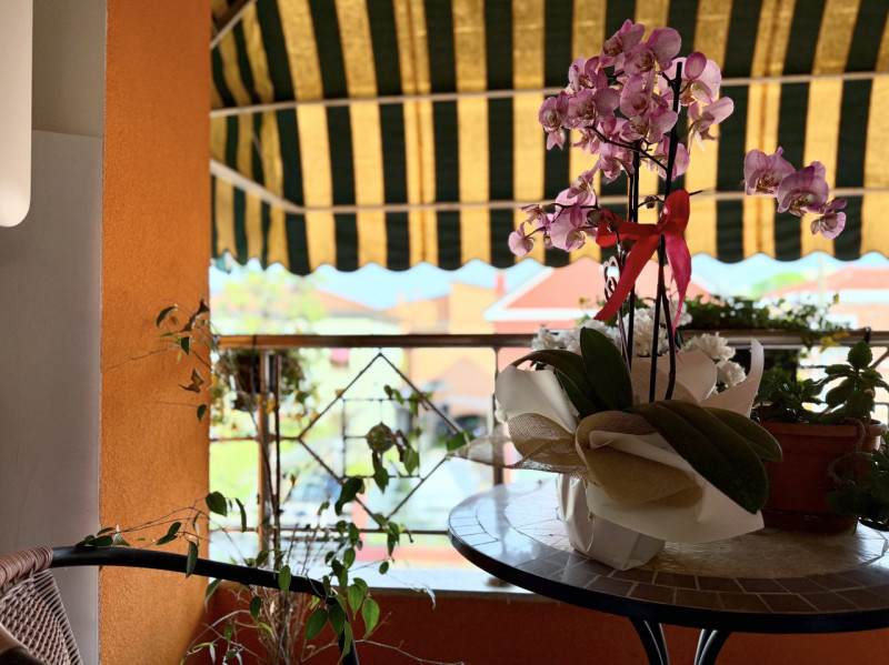 Scopri questa affascinante bifamiliare situata nel cuore di Chiesanuova, una delle zone più ricer...